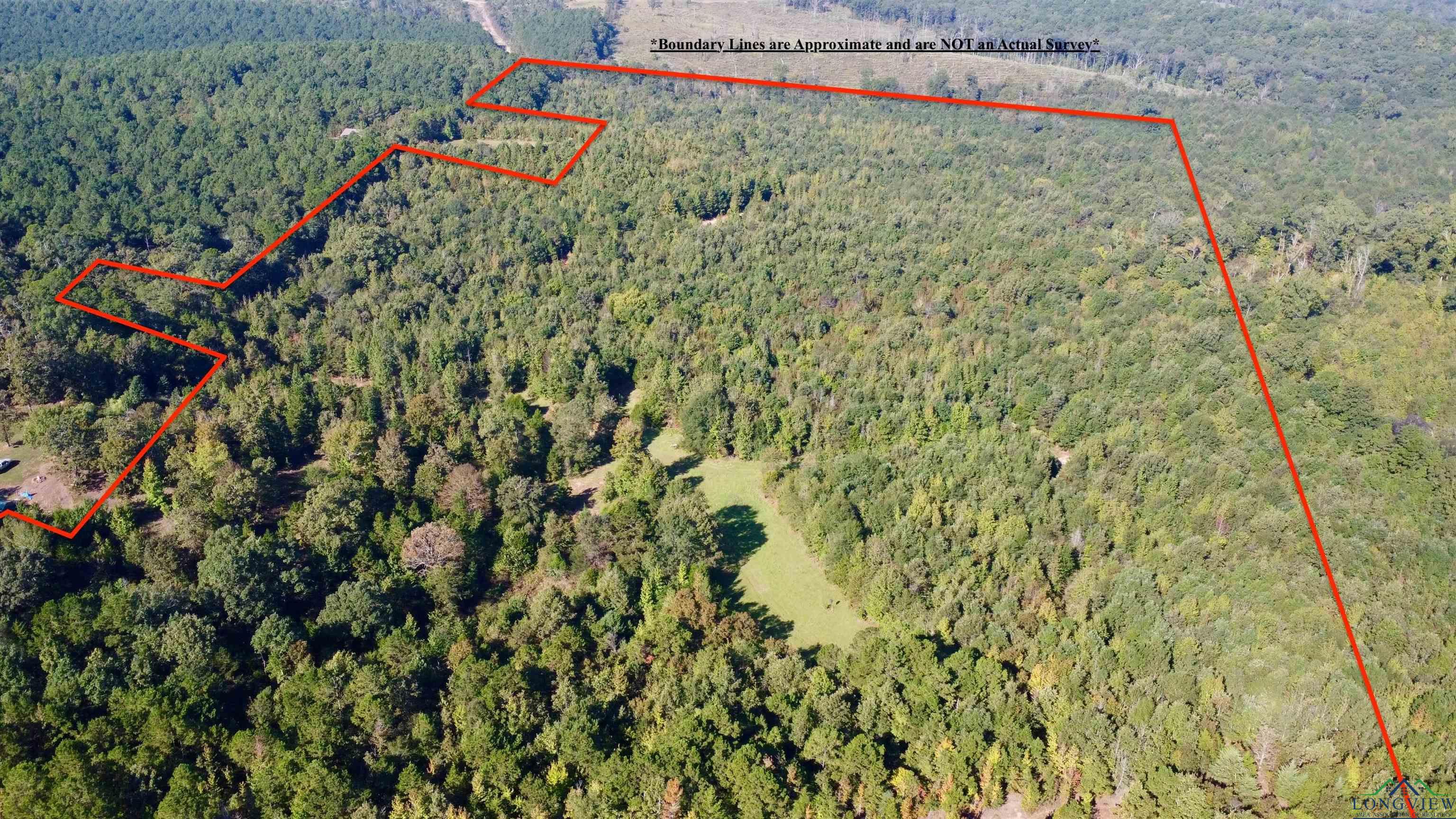 Image 3: Aerial view of property and surrounding area featuring a heavily wooded area and property parcel outlined, Aerial View