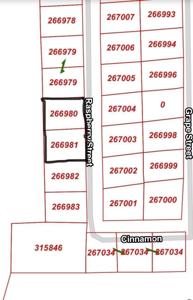 9374 Raspberry Avenue