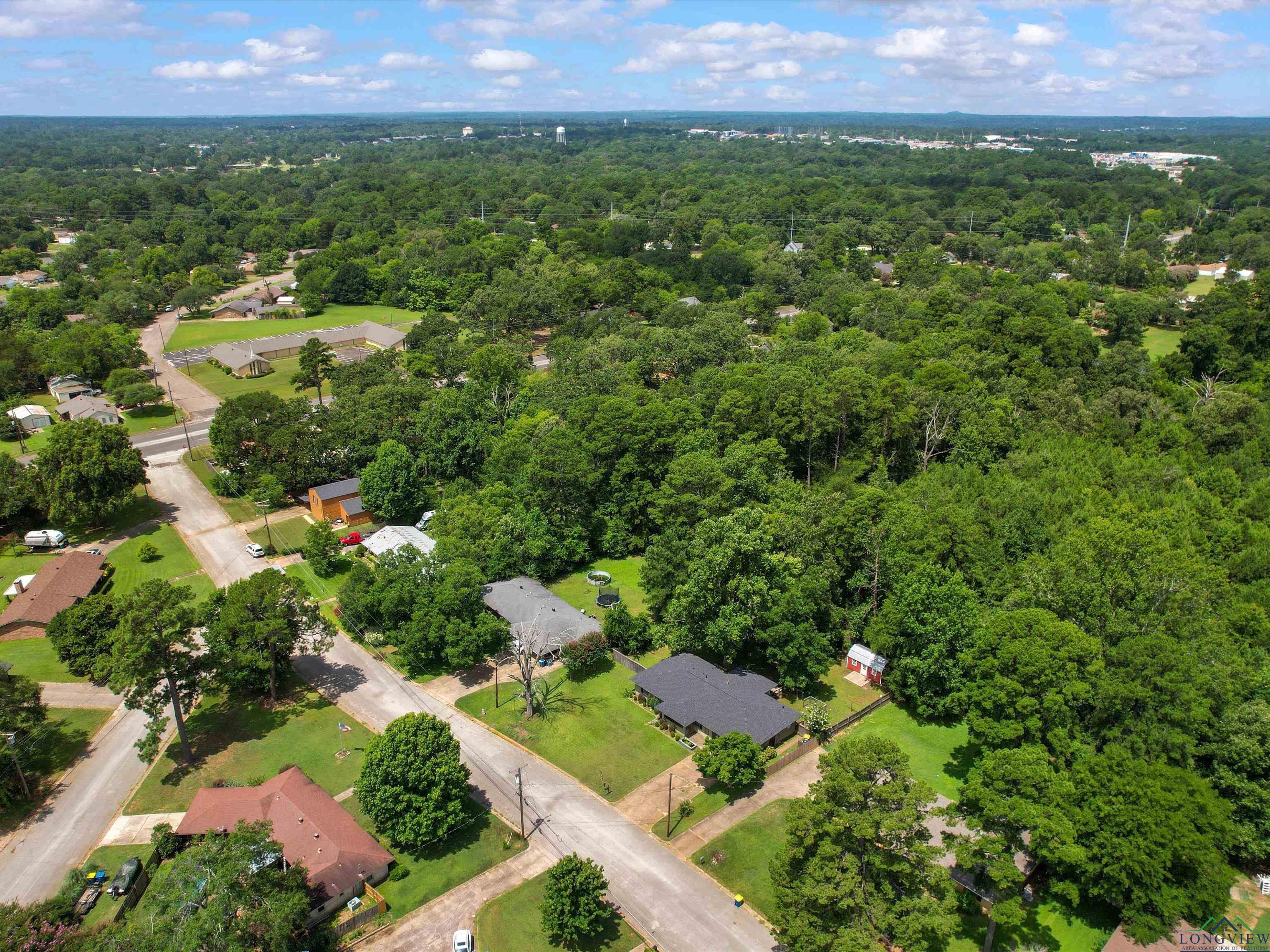 Image 3: Aerial View