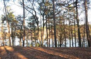 Lot 20 Lake Gladewater Dr