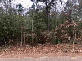 TBD W lake Drive
