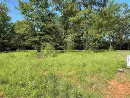 Lot 6 Cherokee Creek