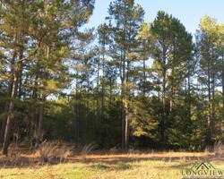 Lot 12 Lake Gladewater Dr