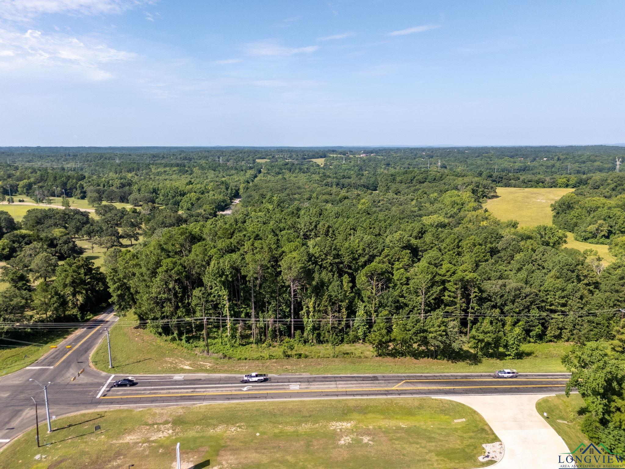 Image 3: Bird's eye view of a forest, Aerial View