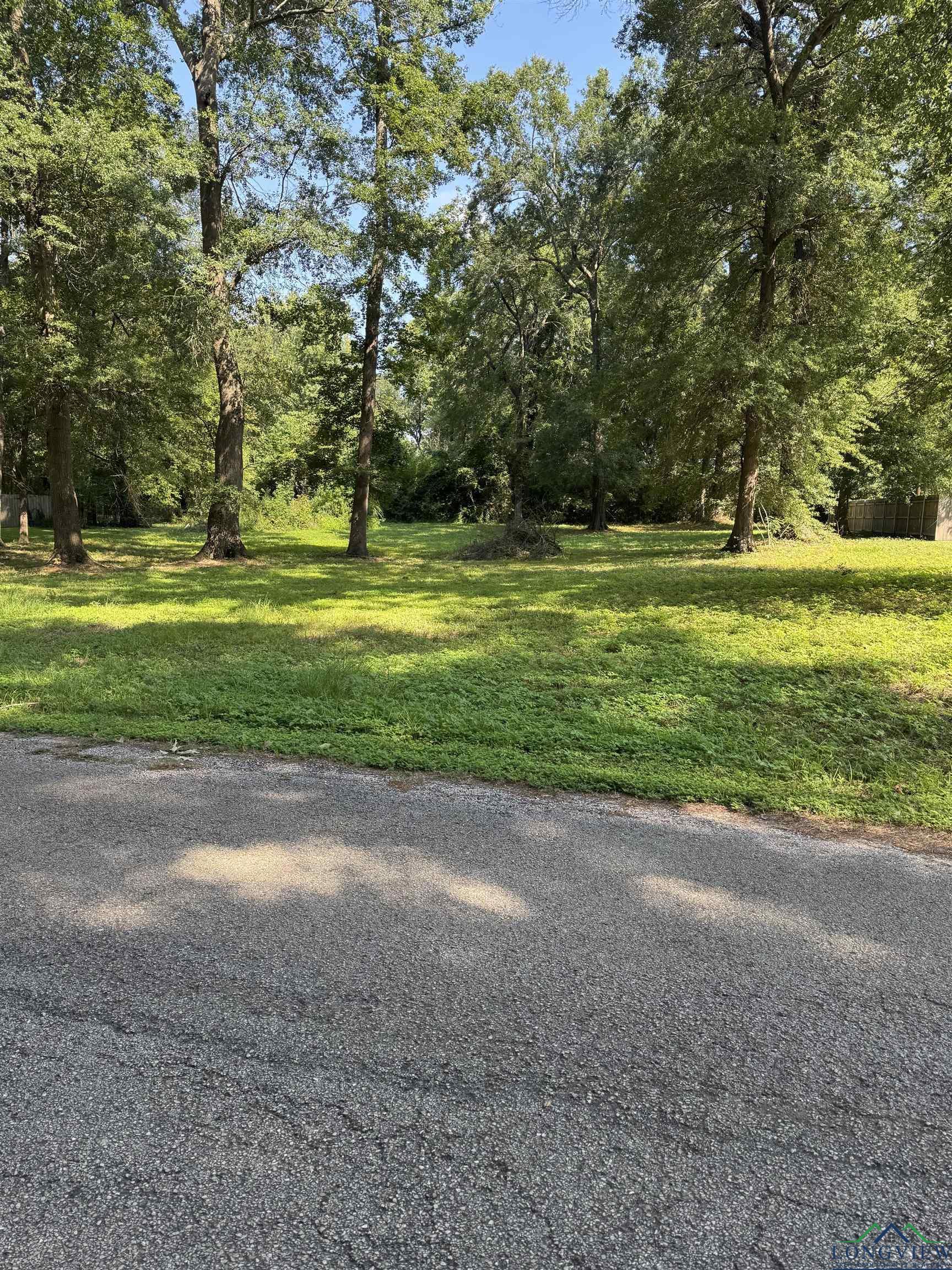 Image 0: View of road, Community