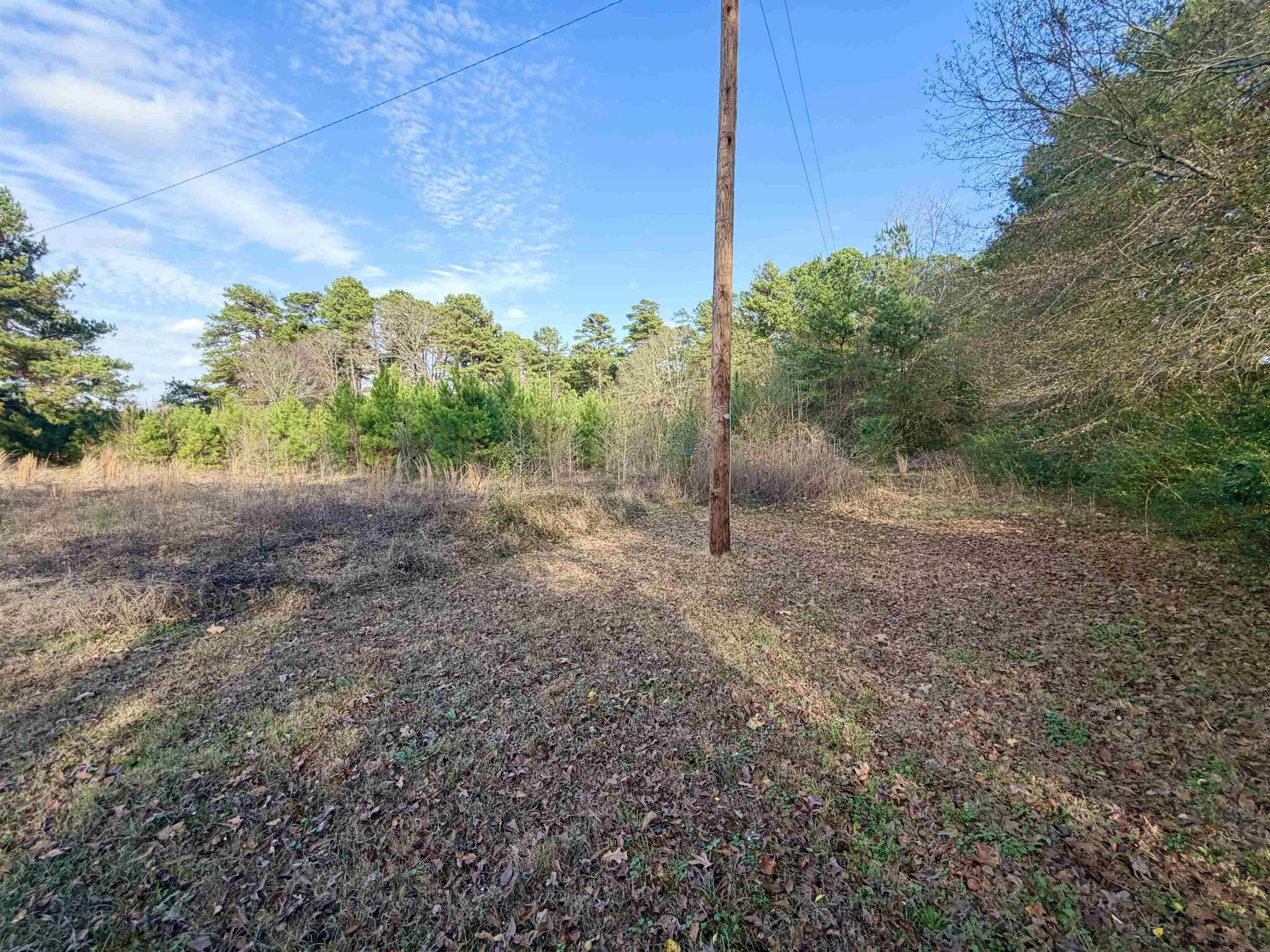 Image 2: View of nature, View