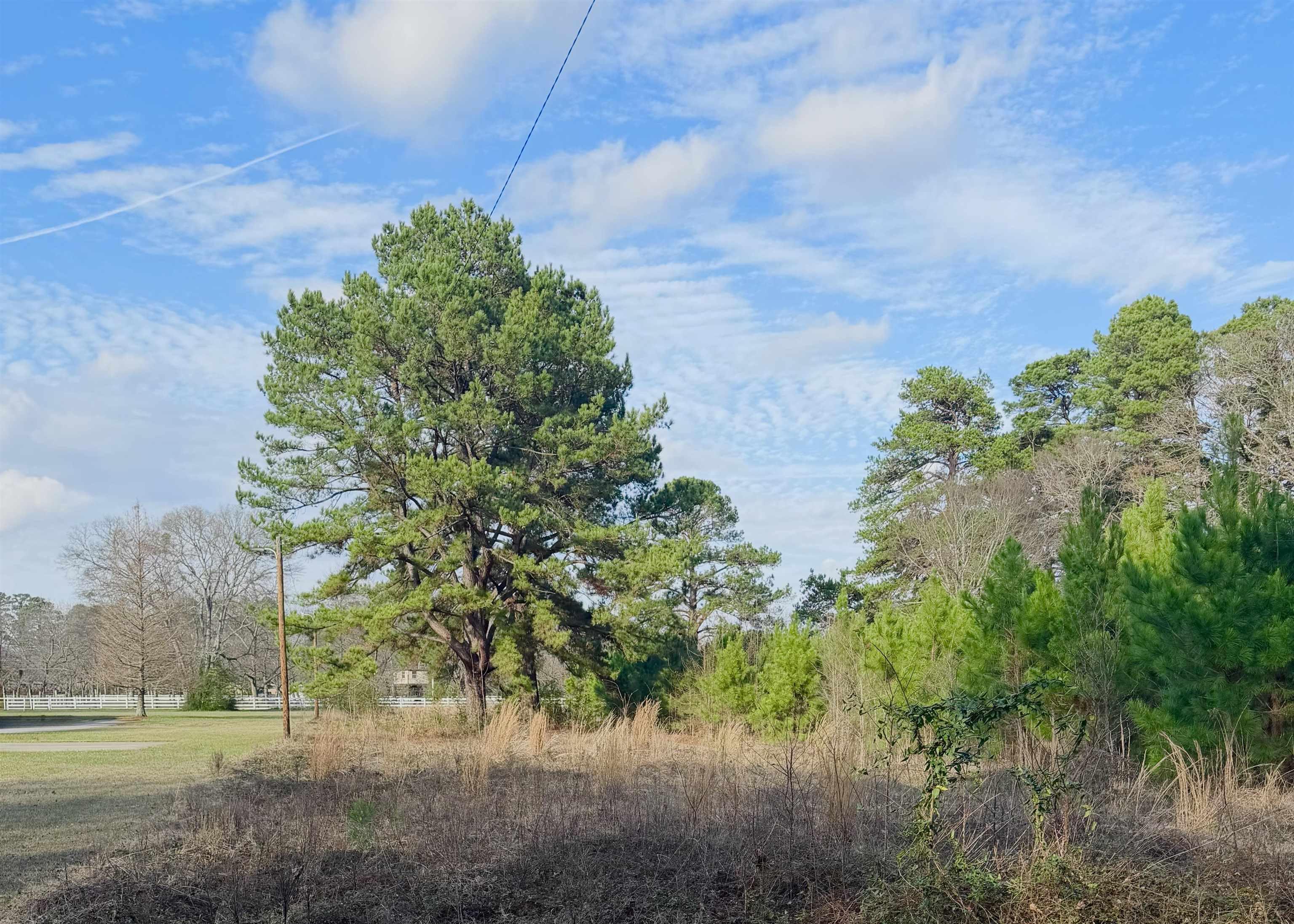Image 3: View of undeveloped land, View