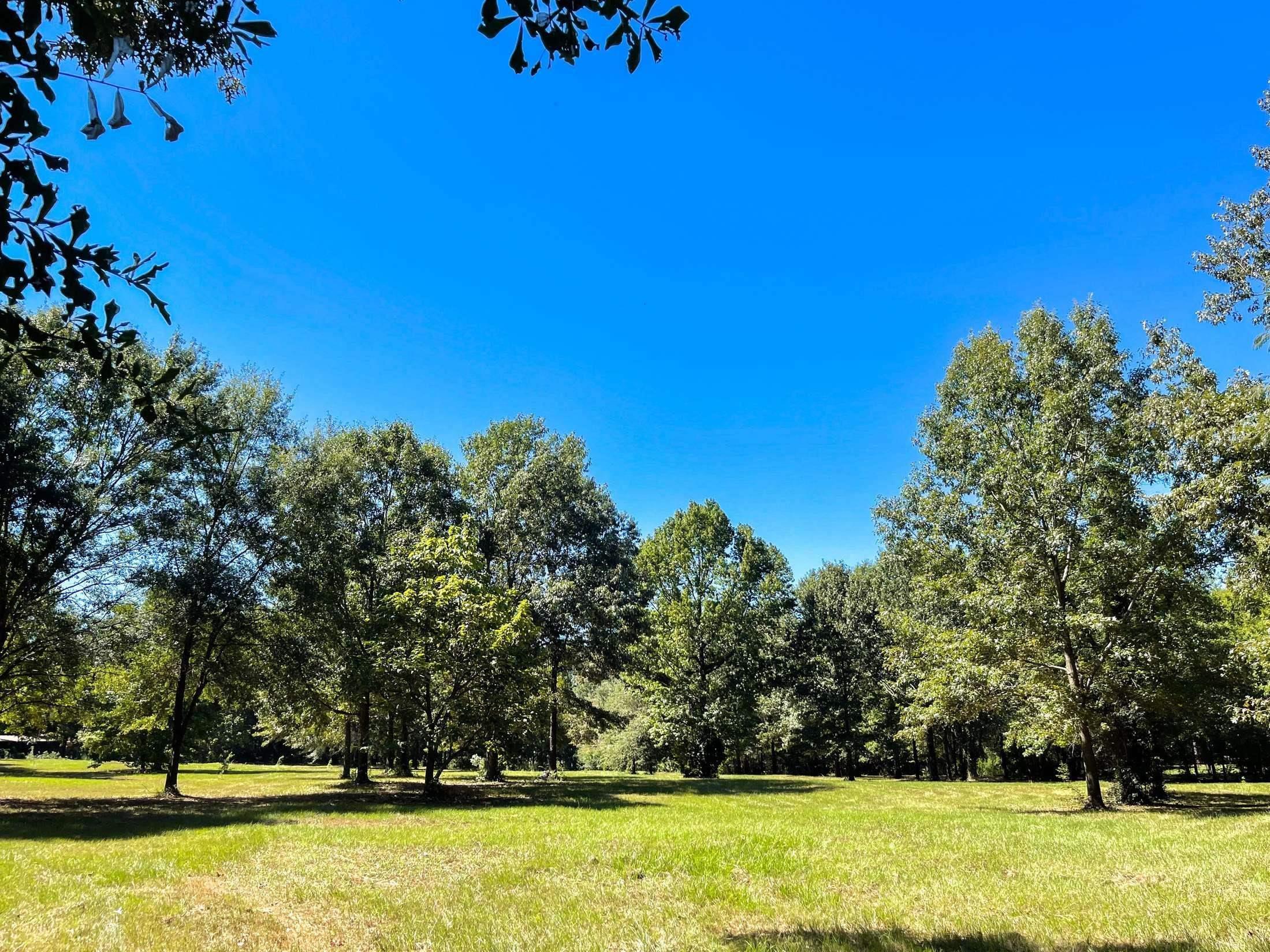 Image 2: View of nature, View