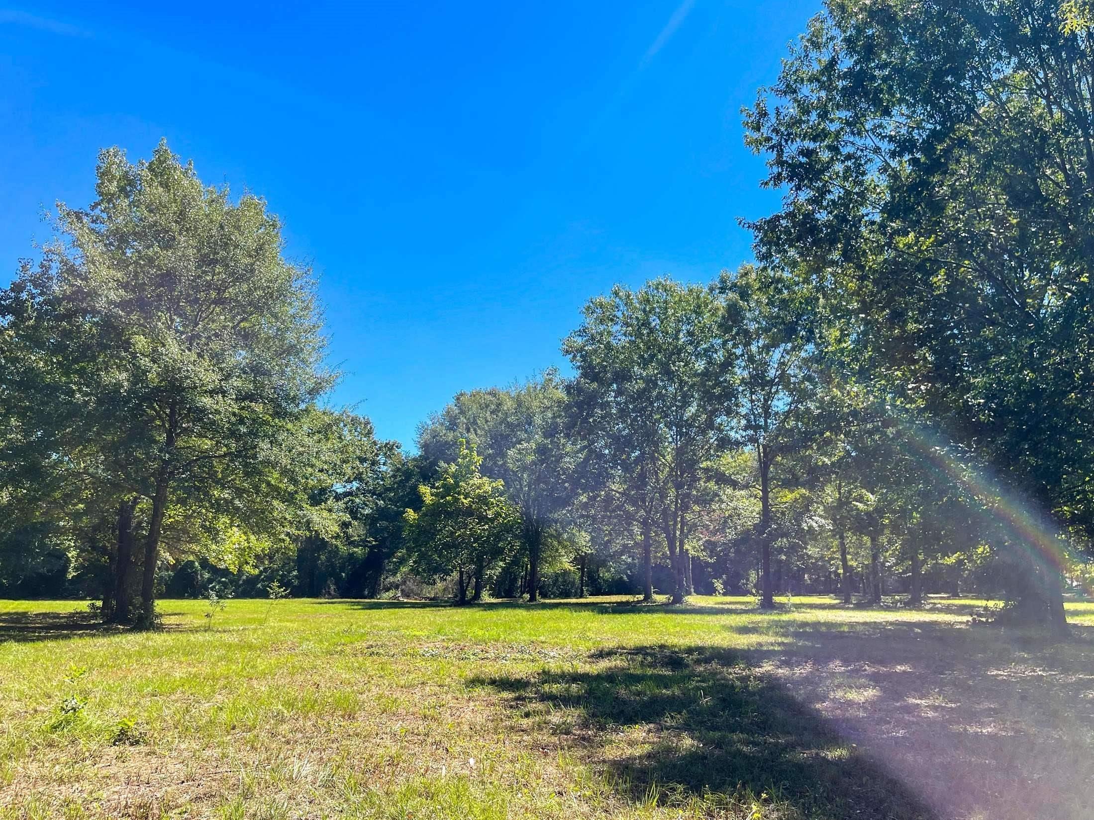 Image 3: View of green lawn, Yard