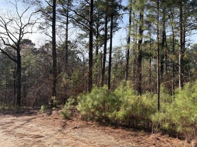 Lots 144 & 145 Silver Oaks Drive