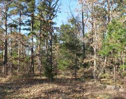 Lot 6 Lake Gladewater Dr