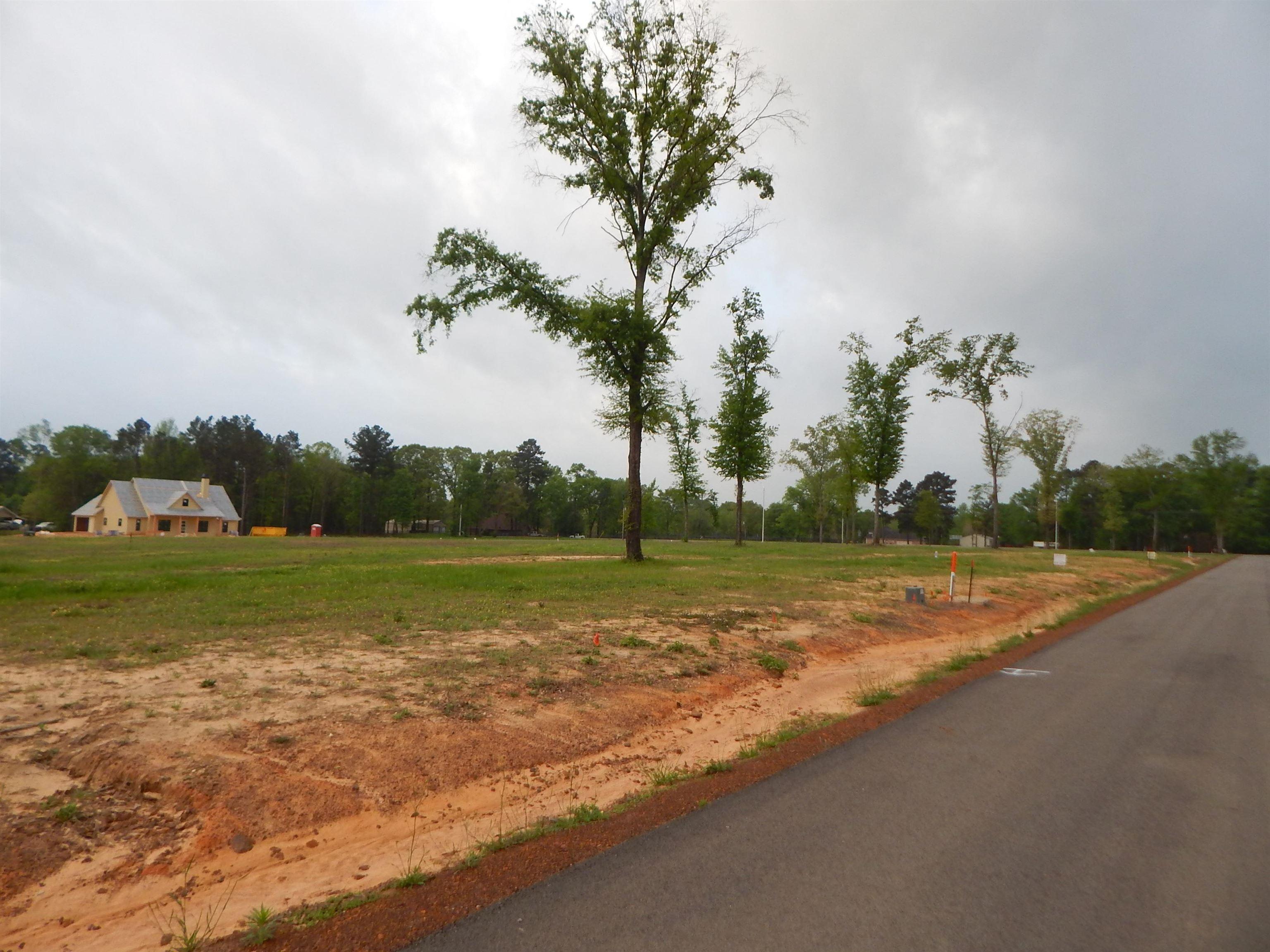 Image 1: View of road, Community