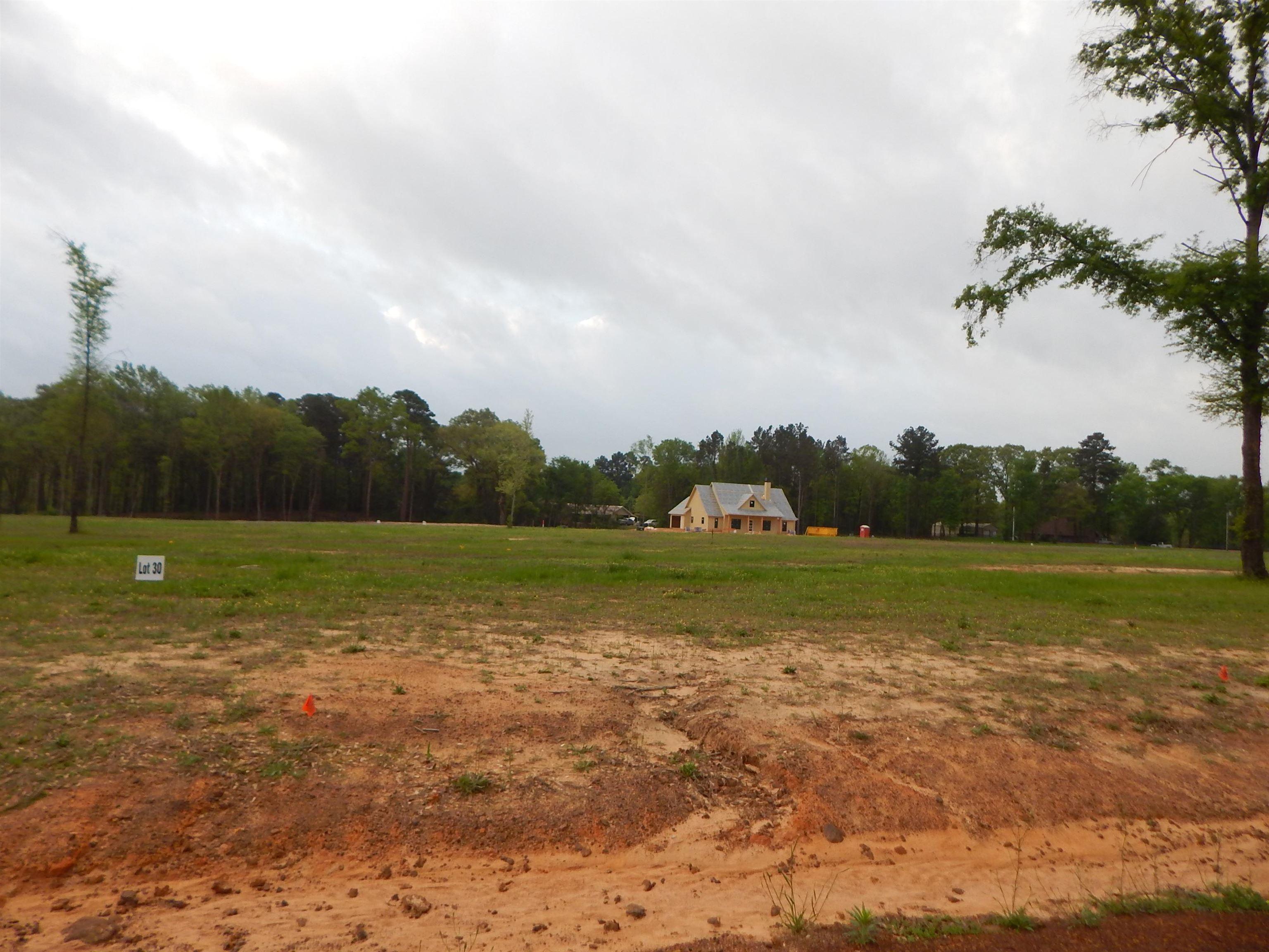 Image 2: View of yard featuring a wooded view and a rural view, Yard