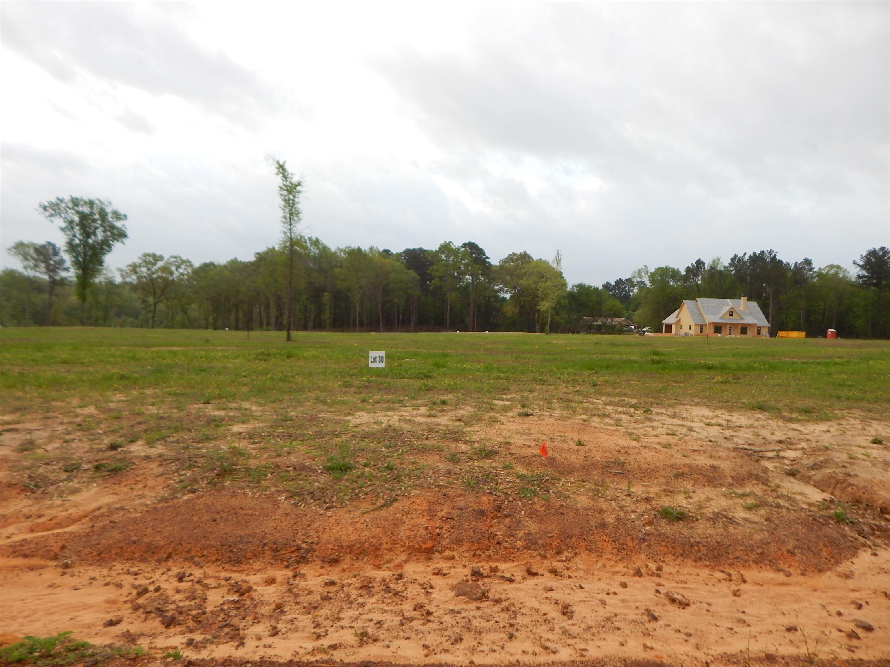 Image 3: View of yard with a rural view and a view of trees, Yard