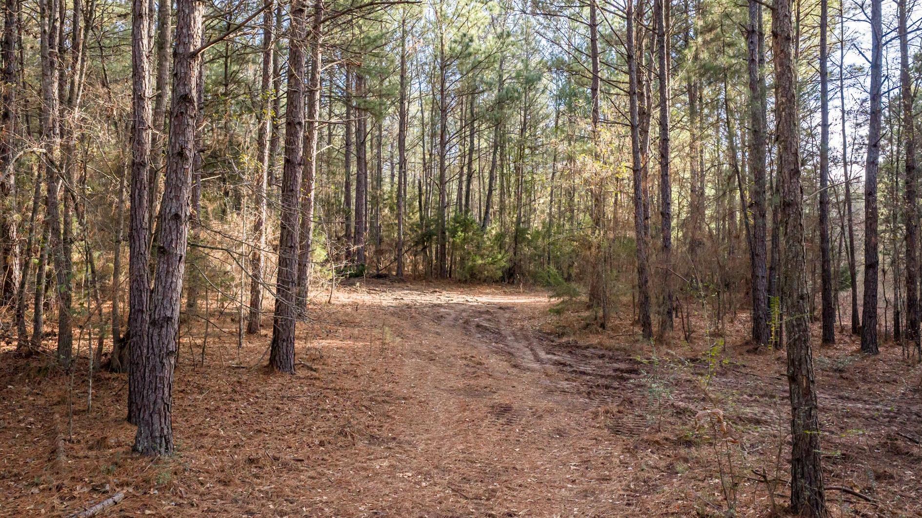 Image 0: View of road, Community