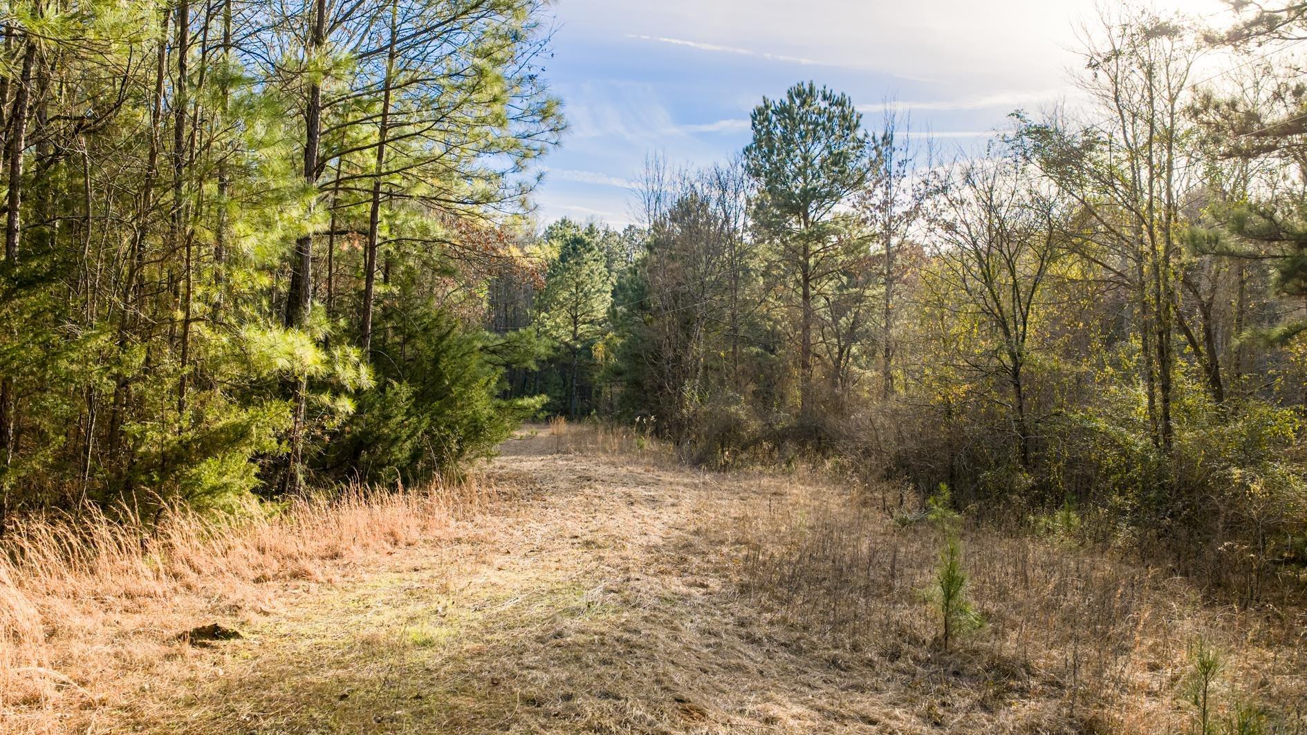 Image 3: View of wooded area, View