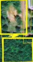 108 Forrest Hill Rd