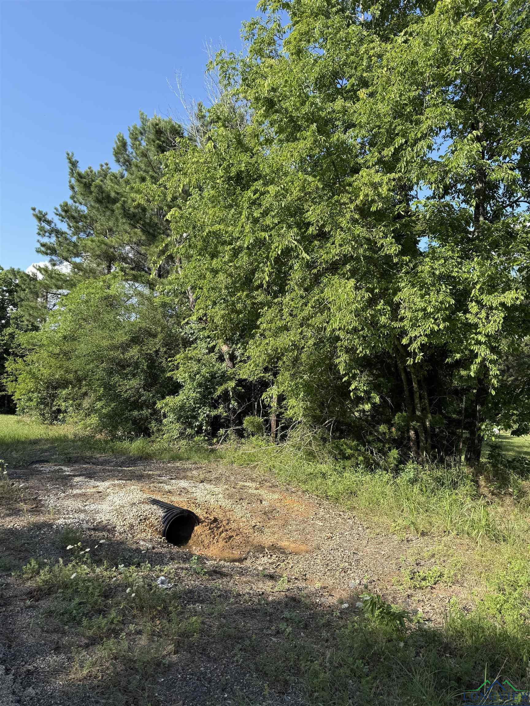 Image 2: View of nature, View