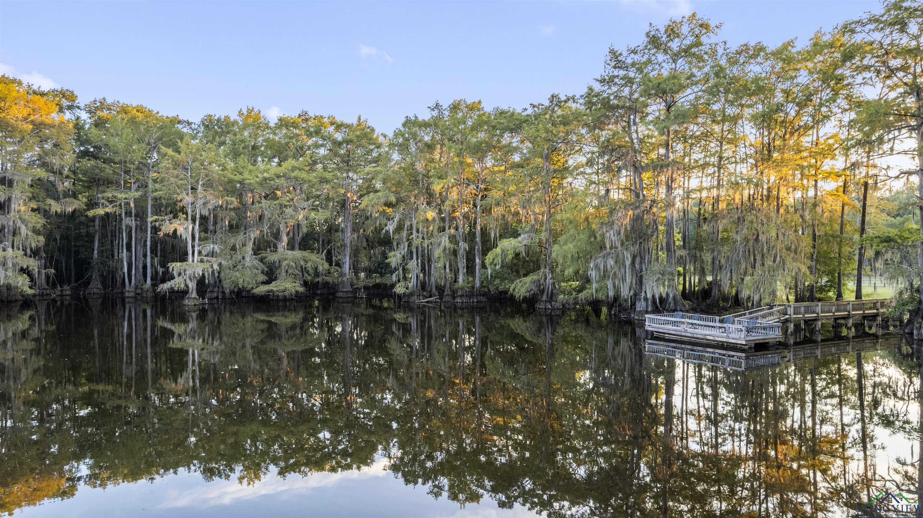 Image 1: Dock featuring a water view and a wooded view, Dock