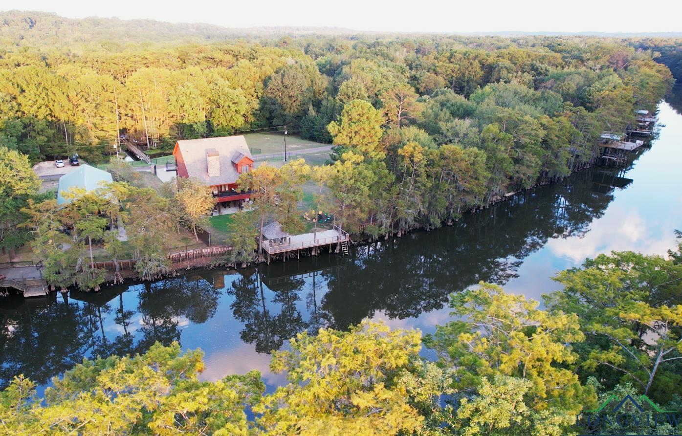 Image 2: Bird's eye view of a forest and a large body of water, Aerial View
