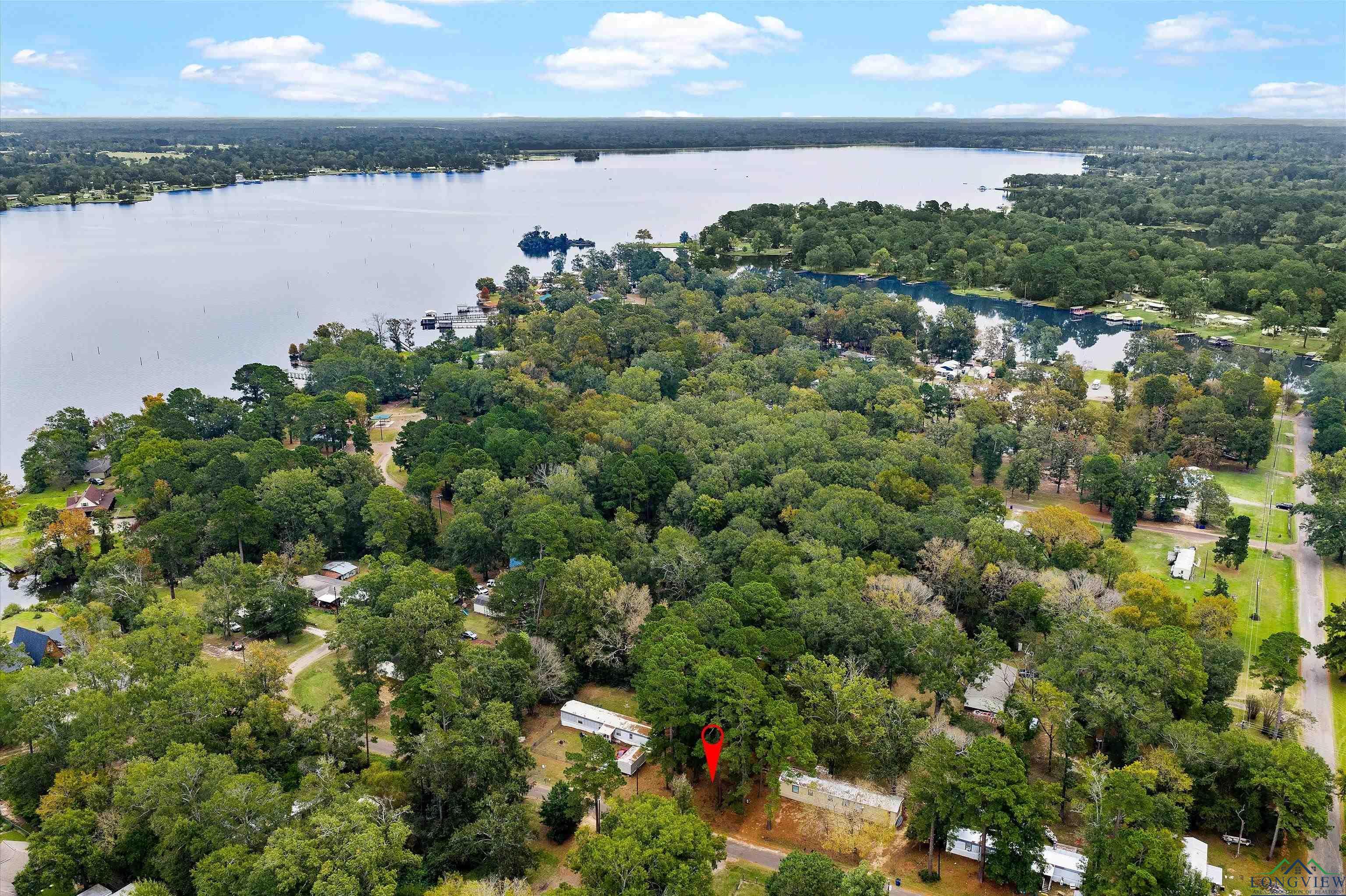 Image 3: Bird's eye view of a nearby body of water and a forest, Aerial View