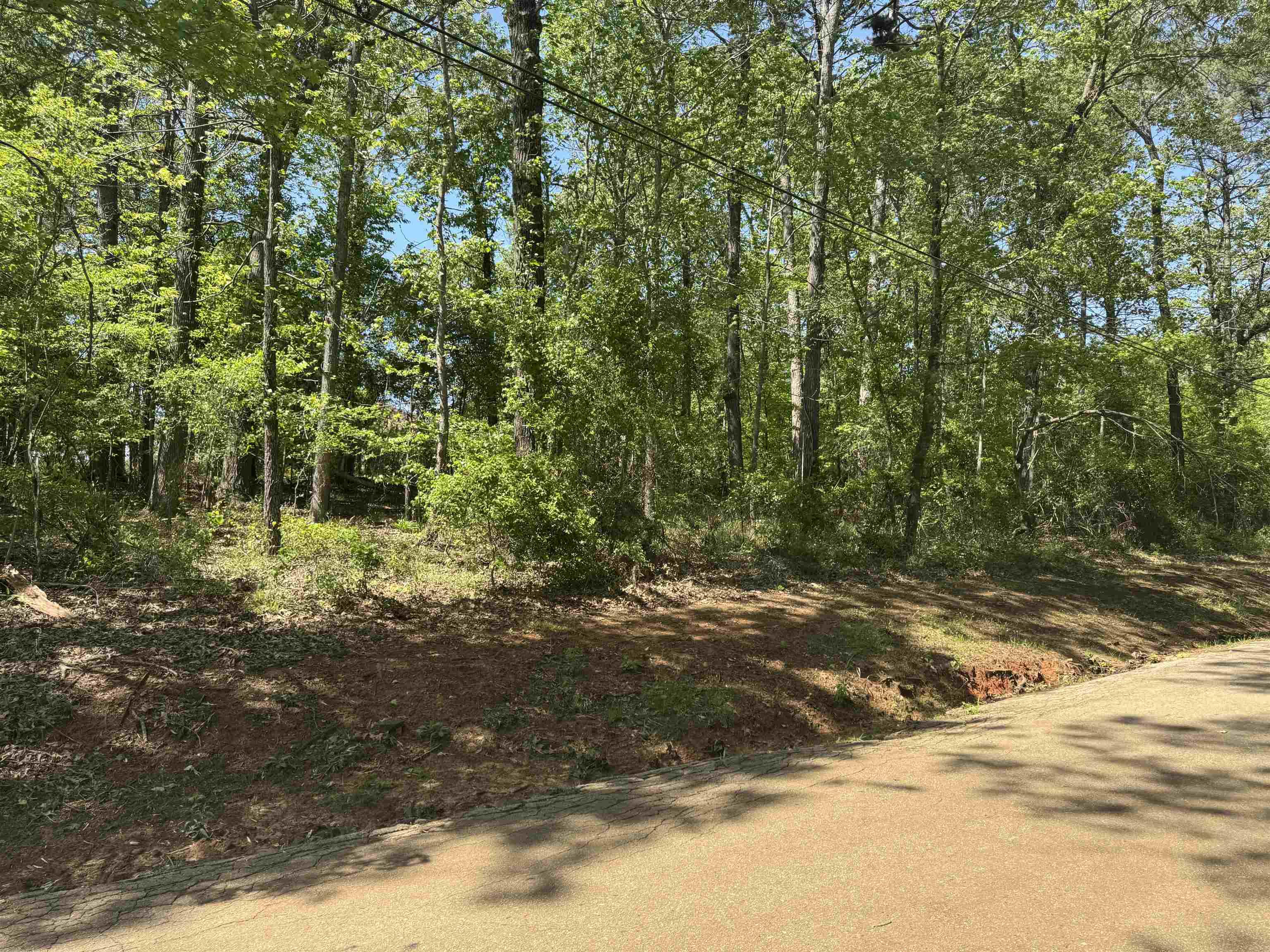 Image 0: View of asphalt road with a view of trees, Community