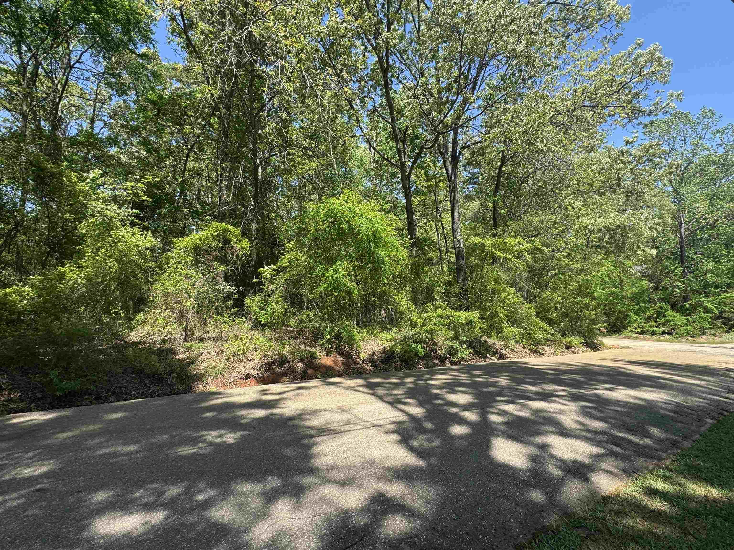 Image 1: View of asphalt street featuring a view of trees, Community
