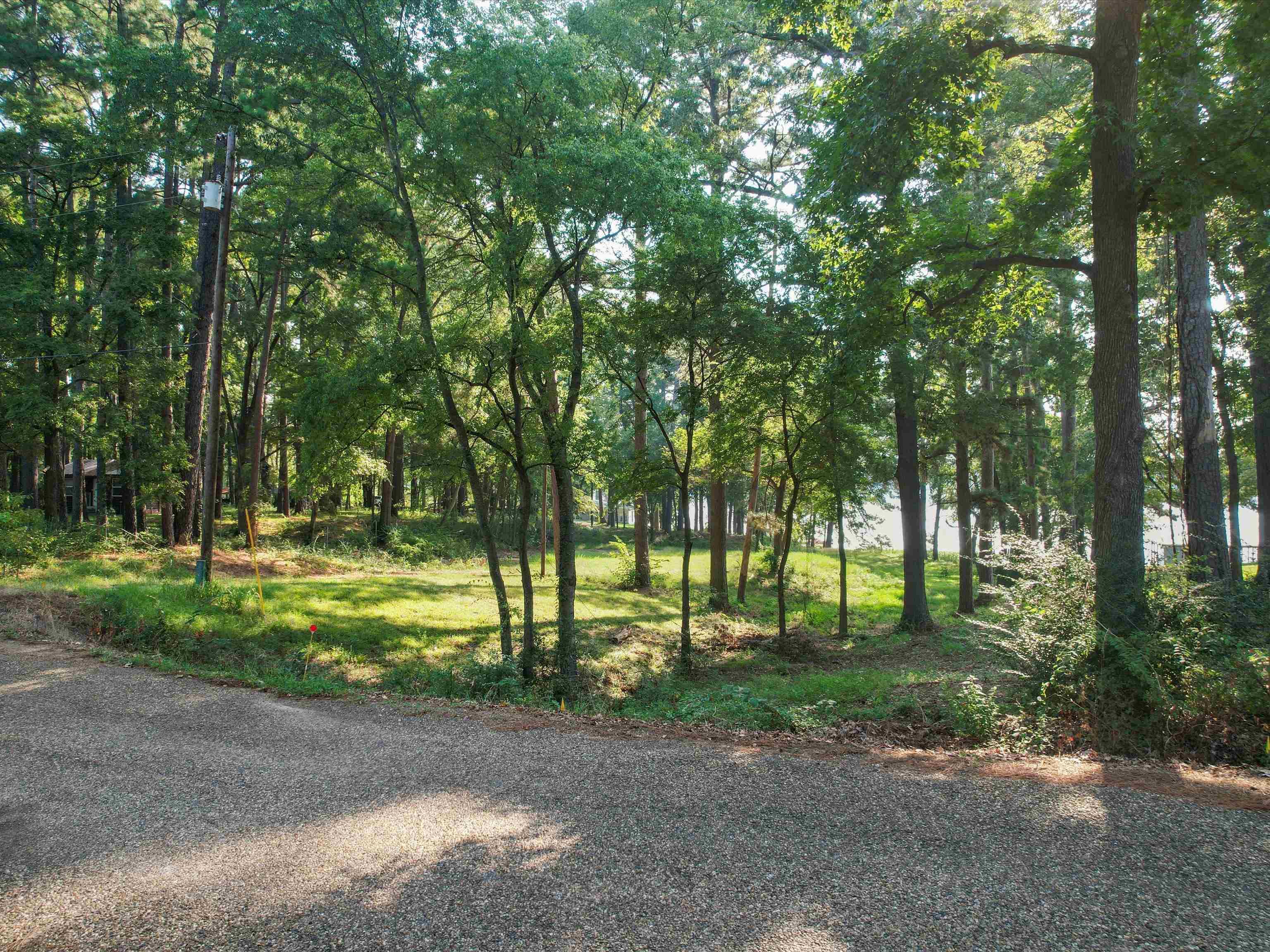 Image 0: View of nature, View