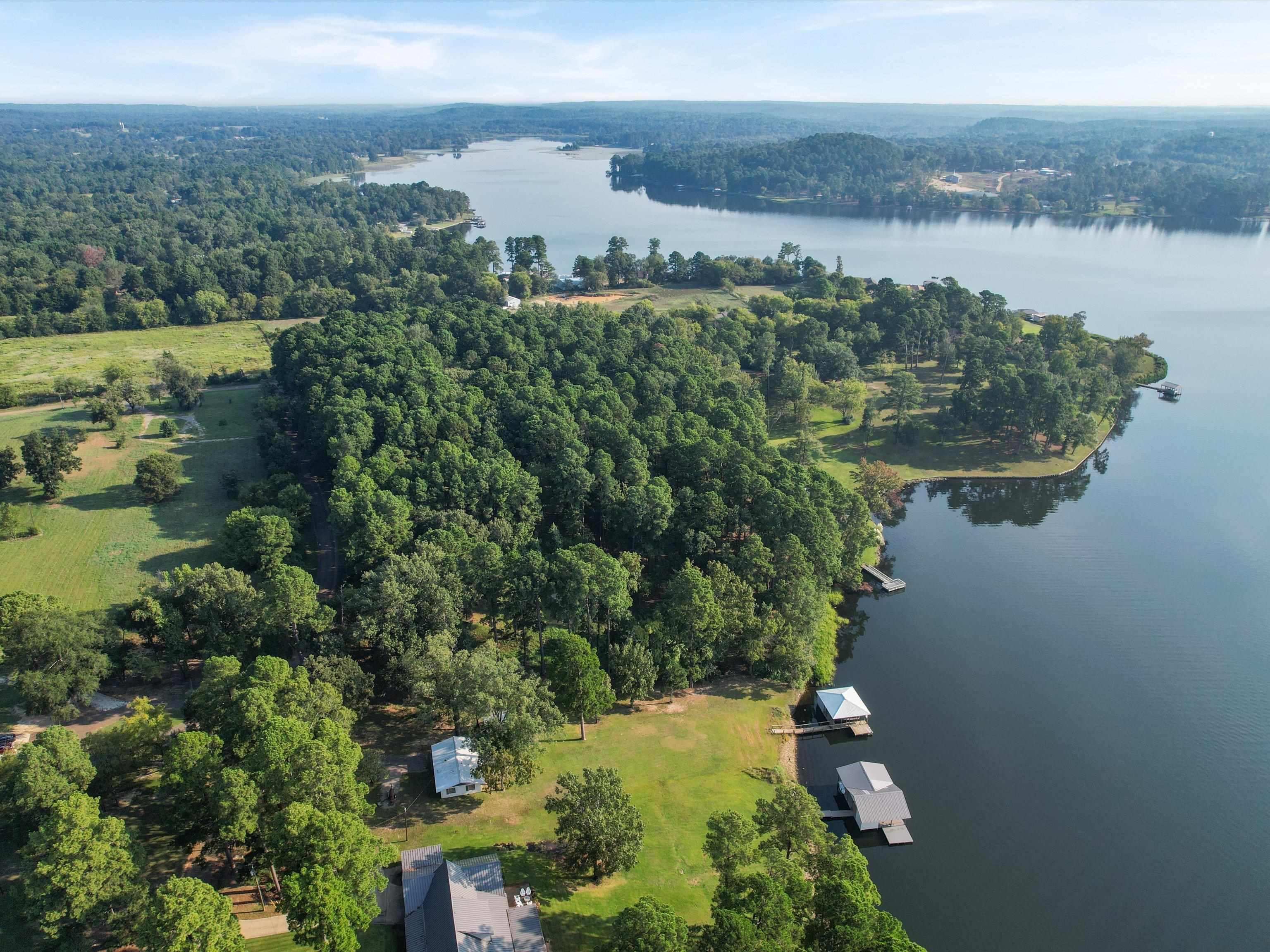 Image 2: Bird's eye view of a large body of water and a forest, Aerial View