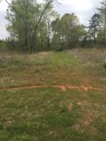 #6 Cherokee Creek