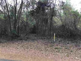 TBD S TIMBERLANE