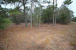 TBD Silk Tree Rd