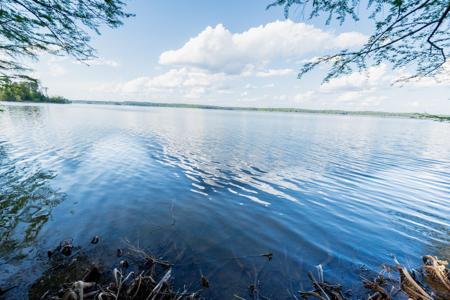 TBD 19.66 Acres Oak Ridge Rd.