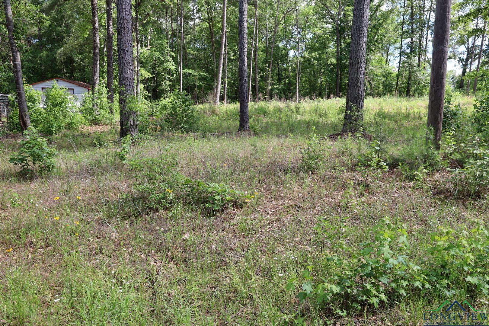 Image 0: View of tree filled area, View