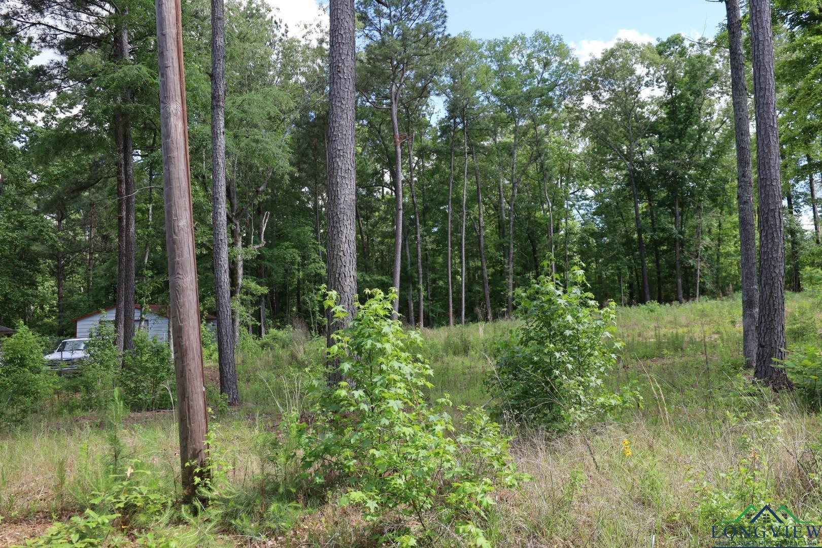 Image 1: View of woods, View
