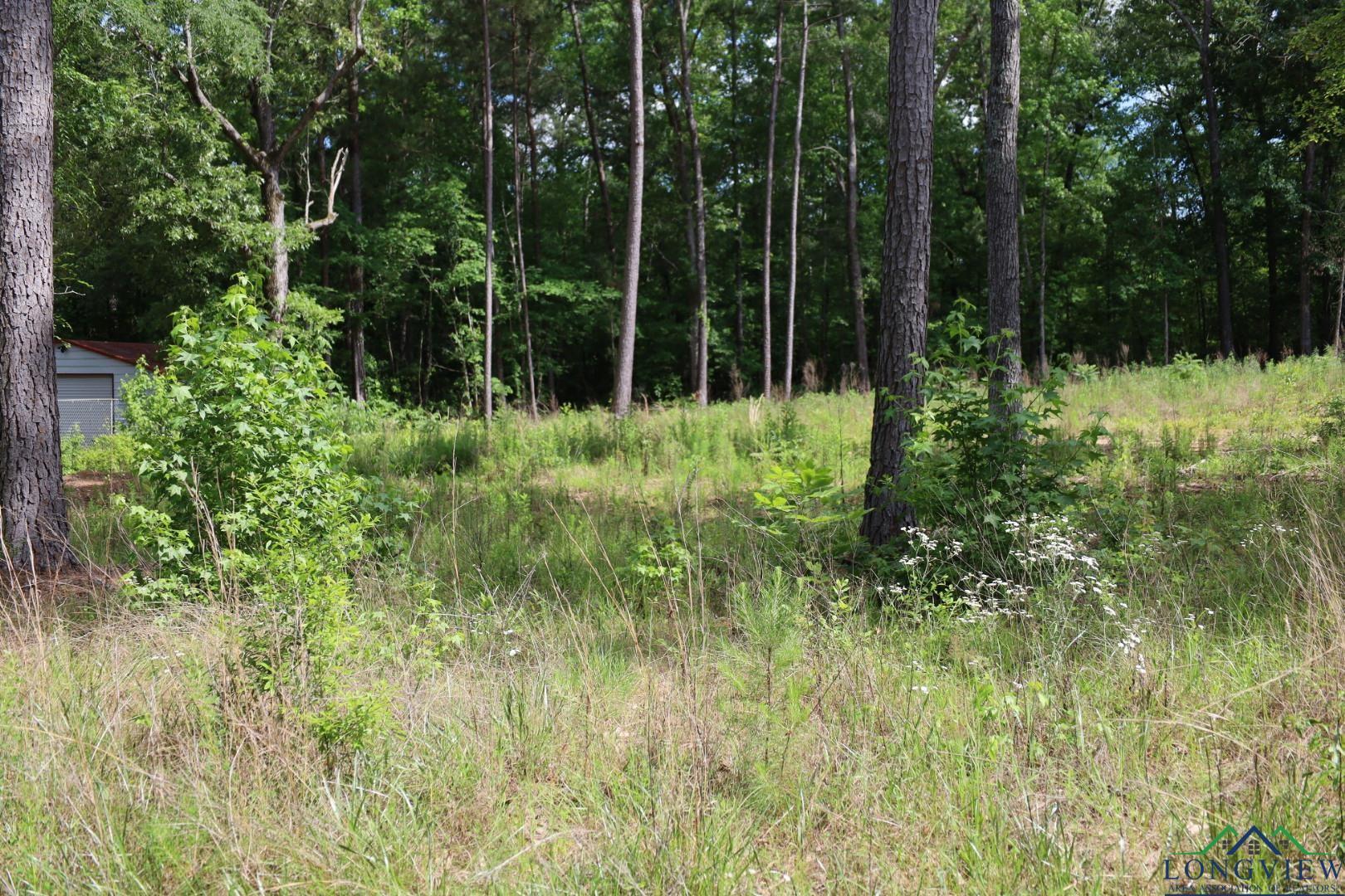 Image 2: View of wooded area, View
