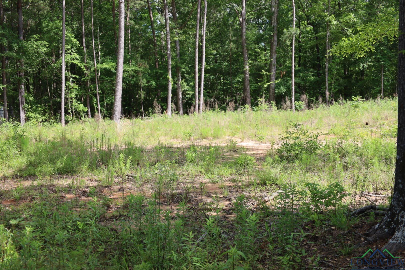Image 3: View of undeveloped land, View