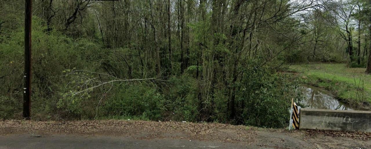 Image 1: View of tree filled area, View