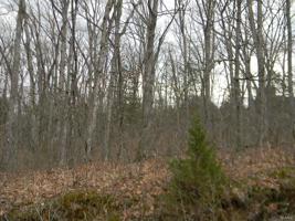0 Renegade Blk 2, Lot 55 Trail