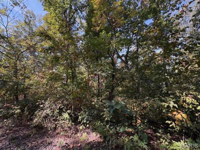 Lot 95 Deer Run