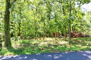 0 Lot 104 Little Pine Lake Road