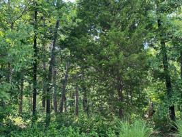 0 Plat 8, Lot 3 Tanglewood Trail