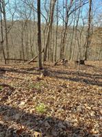 1543 Kings Court