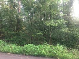 363 (Dogwood) Incline Village