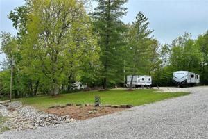 3035 Sugar Maple