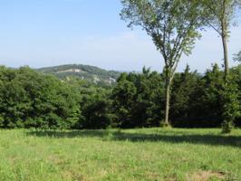 1 See Tal Ridge Road