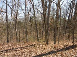 0 Cedar Ct. - Blk 1, Lot 52