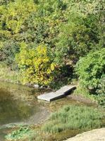 174 N Lake Sherwood Drive