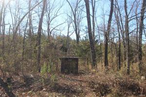 9531 Meadow