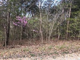 43 Rocky Ridge Drive